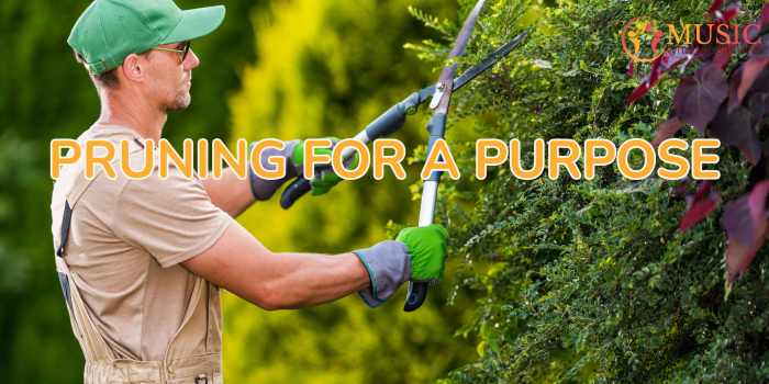 COVERS for BLOG EVENTBRITE BANNER Elementary flyer 2160 × 1080 px 6